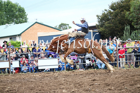 JindabyneRodeo2016-1929
