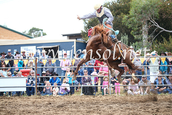 JindabyneRodeo2016_3542