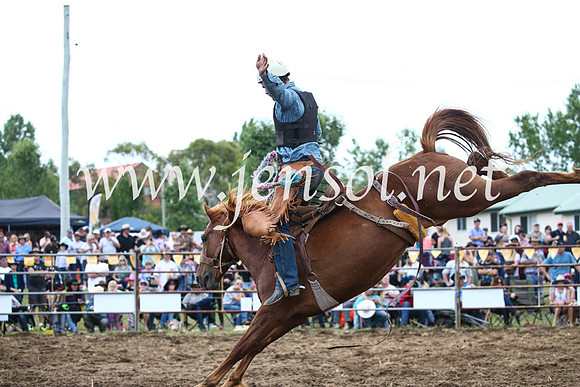 JindabyneRodeo2016_3654