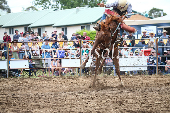 JindabyneRodeo2016_3555