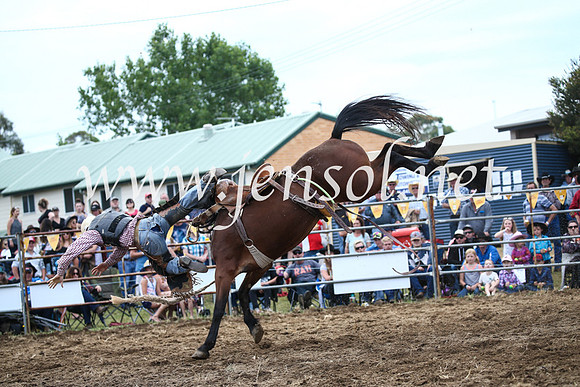 JindabyneRodeo2016_3631