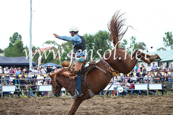 JindabyneRodeo2016_3666