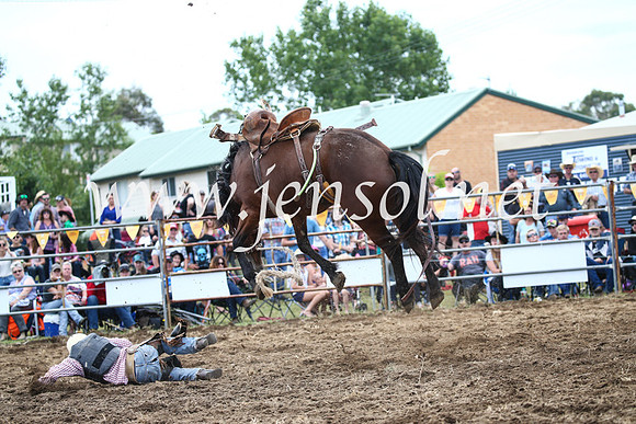 JindabyneRodeo2016_3630