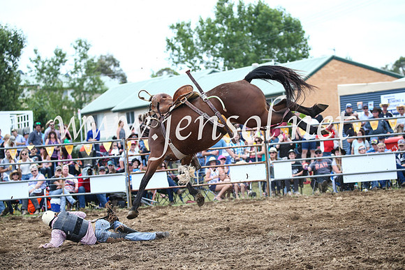JindabyneRodeo2016_3624