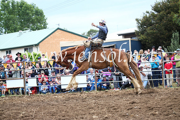 JindabyneRodeo2016-1924