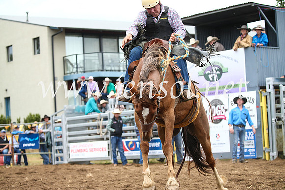 JindabyneRodeo2016-1957