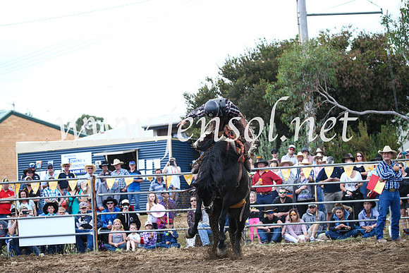 JindabyneRodeo2016_3720