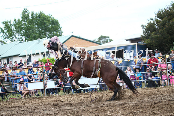 JindabyneRodeo2016_3611