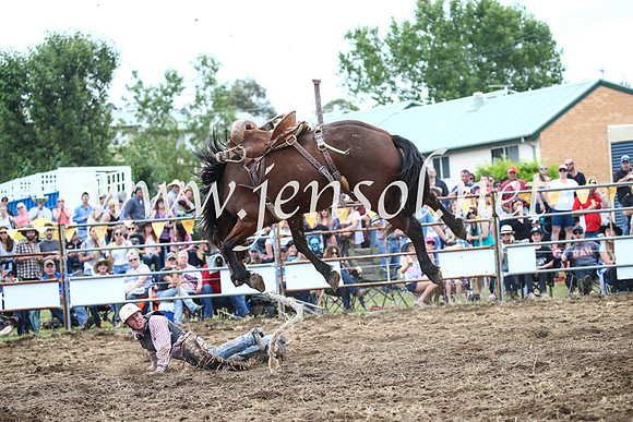 JindabyneRodeo2016_3649
