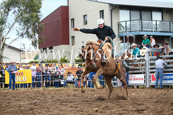 JindabyneRodeo2016-1861