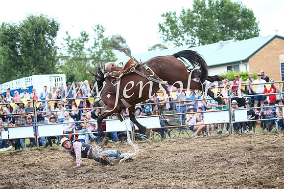 JindabyneRodeo2016_3647