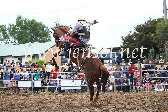 JindabyneRodeo2016_3570