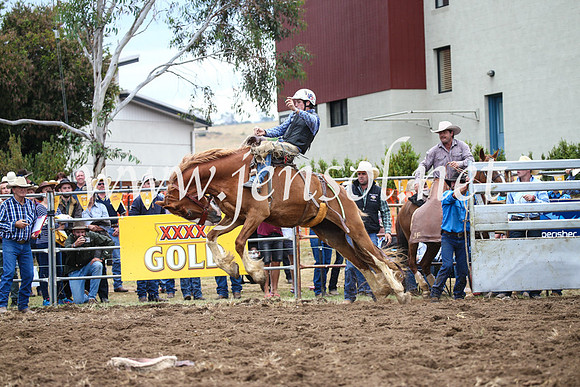 JindabyneRodeo2016-1918