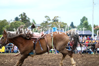 JindabyneRodeo2016-1835