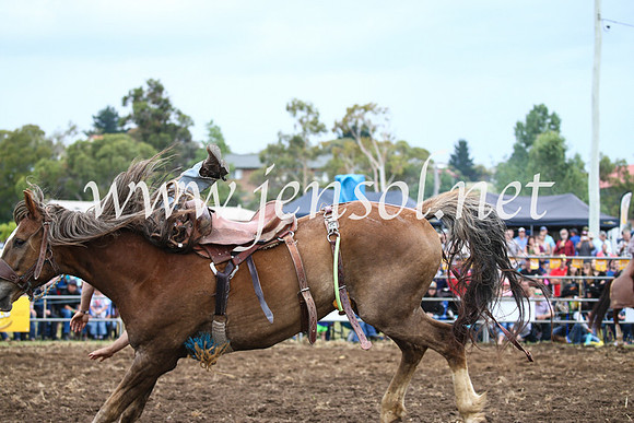 JindabyneRodeo2016-1835