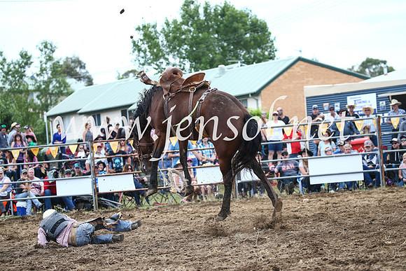 JindabyneRodeo2016_3635