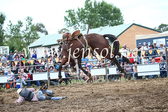 JindabyneRodeo2016_3629