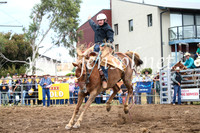 JindabyneRodeo2016-1862