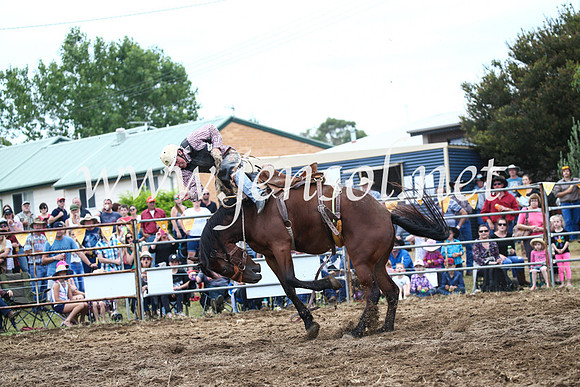 JindabyneRodeo2016_3614