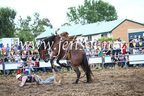 JindabyneRodeo2016_3628