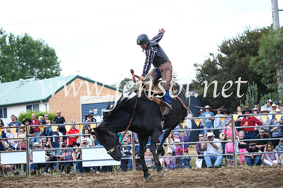 JindabyneRodeo2016_3737