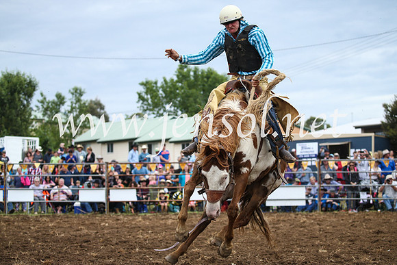 JindabyneRodeo2016-1846