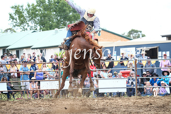 JindabyneRodeo2016_3561