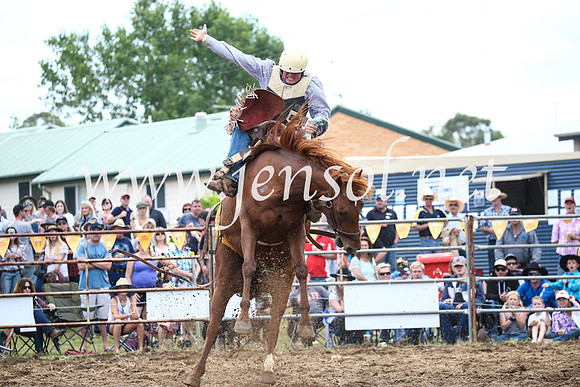 JindabyneRodeo2016_3558