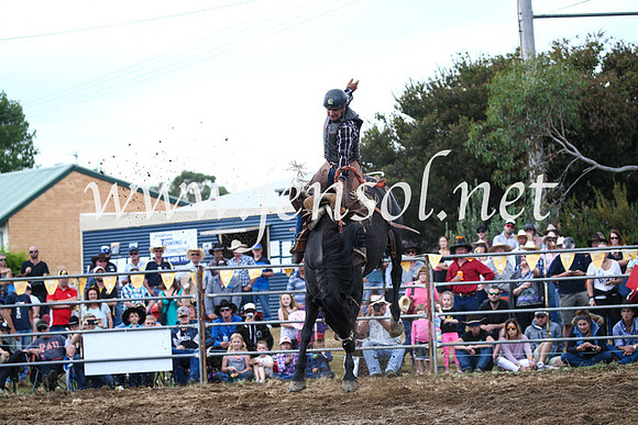 JindabyneRodeo2016_3722