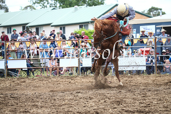 JindabyneRodeo2016_3556