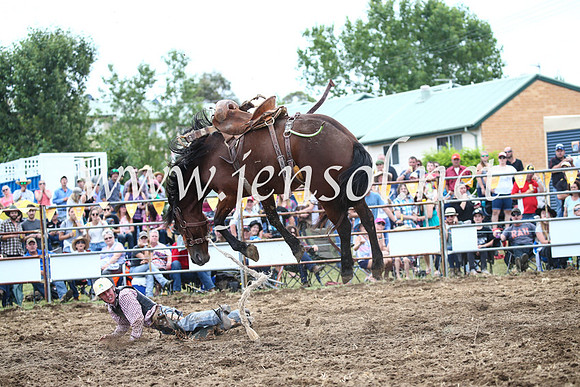 JindabyneRodeo2016_3648