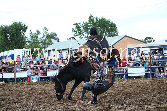 JindabyneRodeo2016_3730