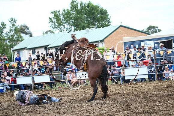 JindabyneRodeo2016_3638