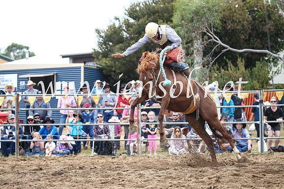 JindabyneRodeo2016_3546