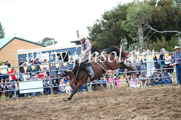 JindabyneRodeo2016_3610