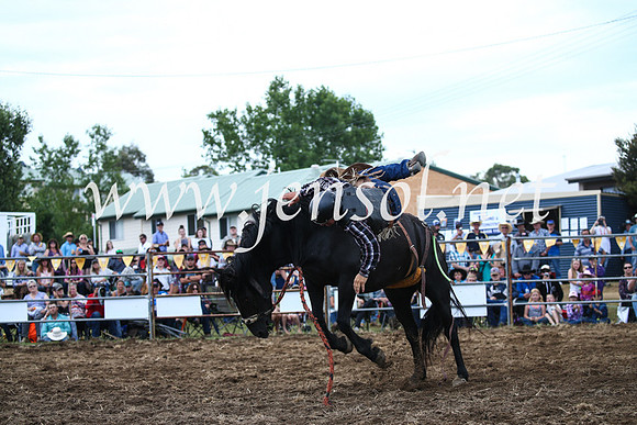 JindabyneRodeo2016_3727
