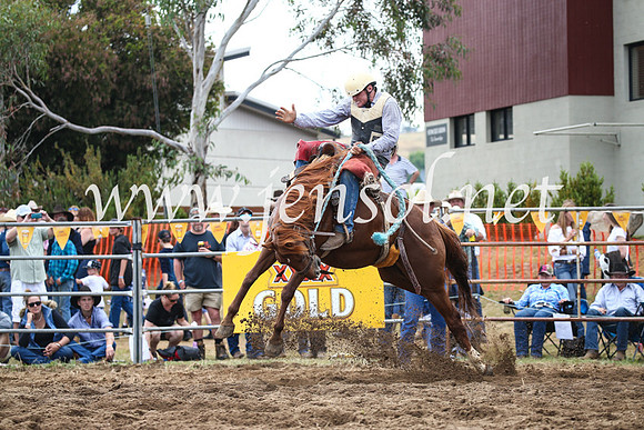 JindabyneRodeo2016_3535