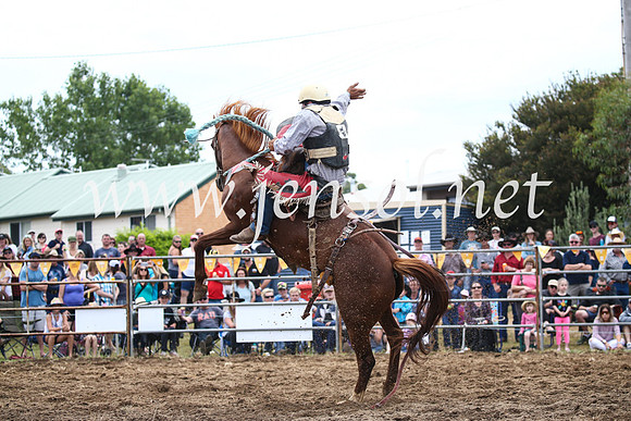 JindabyneRodeo2016_3569