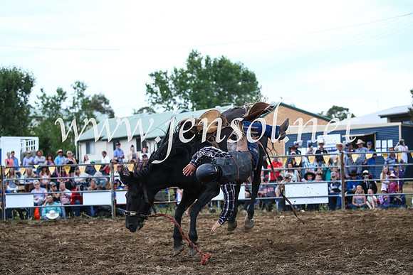 JindabyneRodeo2016_3725