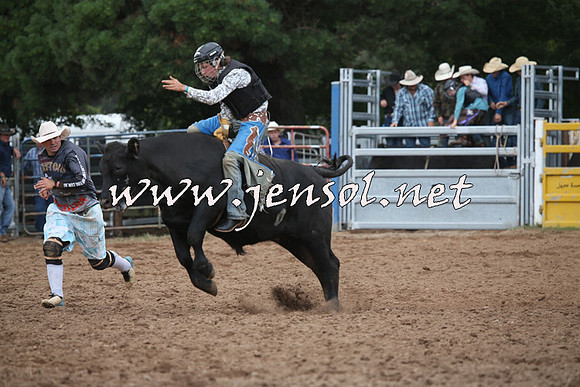 TaralgaRodeo2016_5084