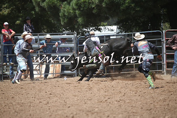 TaralgaRodeo2016_6143