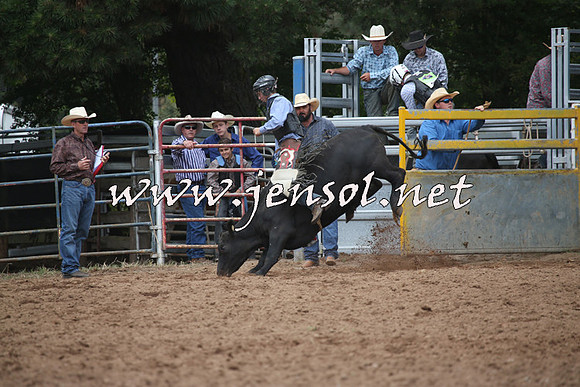 TaralgaRodeo2016_5021