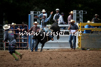 Open Steer