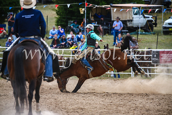 BungendoreRodeo2017_2245