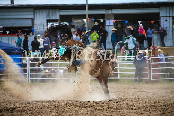 BungendoreRodeo2017_2273