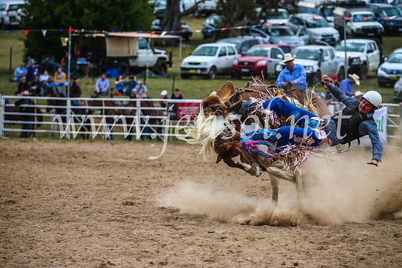 BungendoreRodeo2017_2376