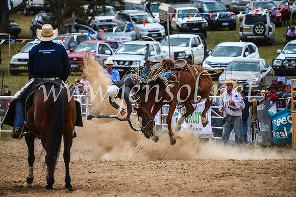 BungendoreRodeo2017_2399