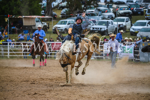BungendoreRodeo2017_2457