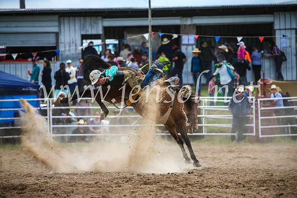 BungendoreRodeo2017_2272