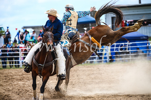BungendoreRodeo2017_2340